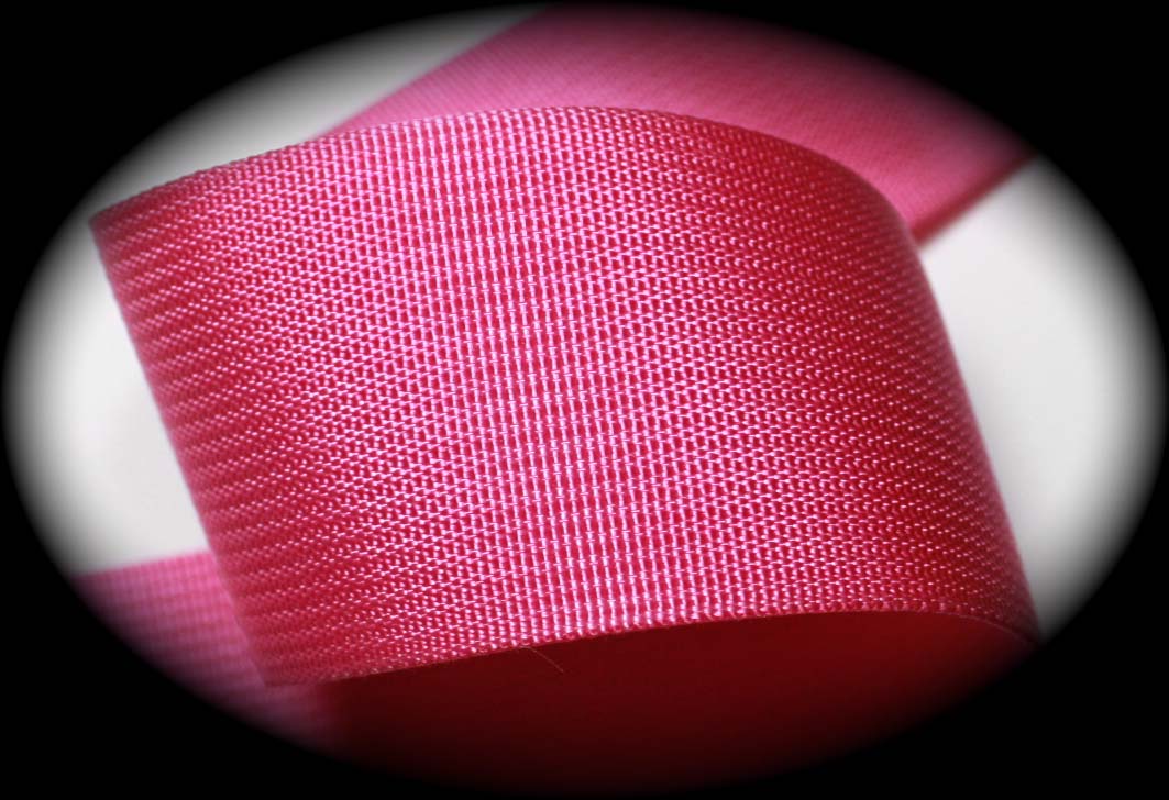 WEBBING 2" NYLON PINK (PER YD)